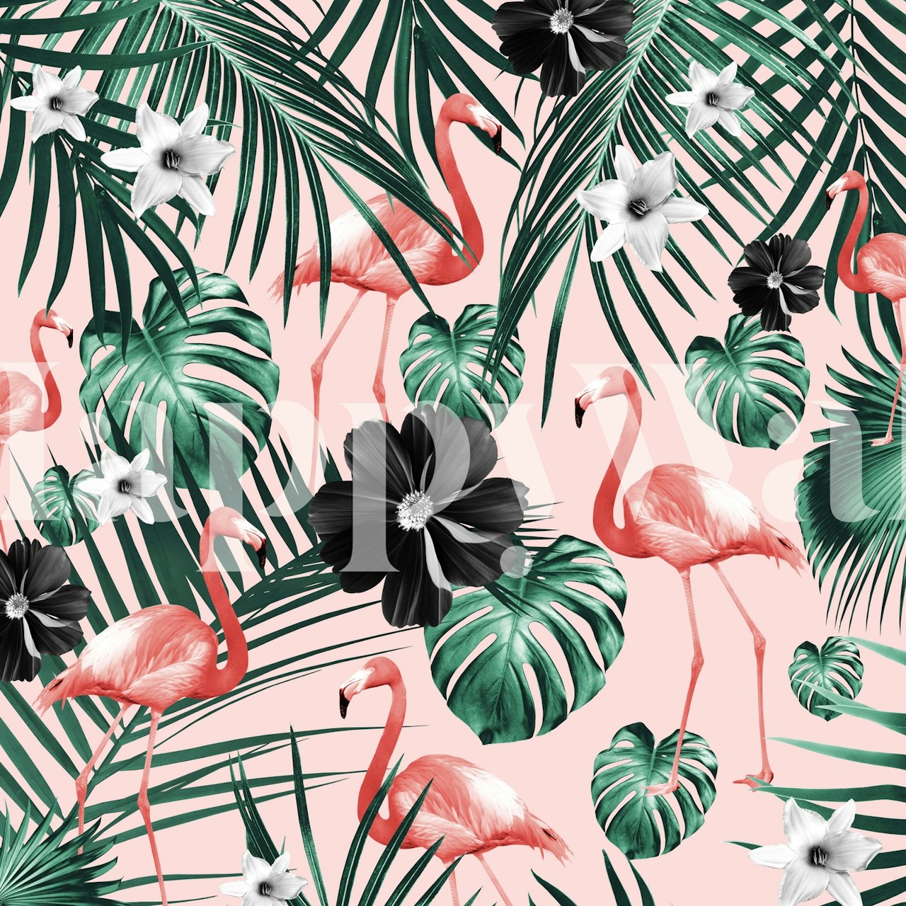 Tropical pink flamingos with green foliage and black flowers on a pink background wall mural