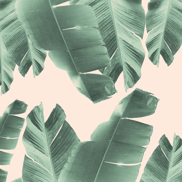 Banana Leaves Tropical 2