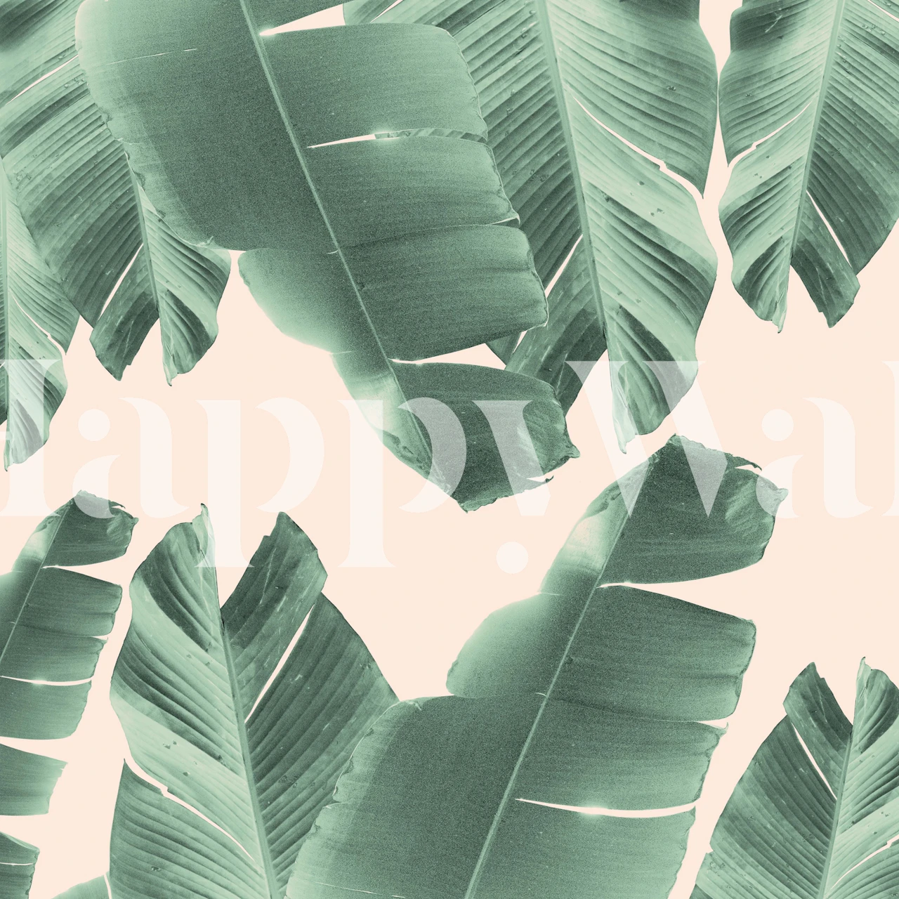 Banana Leaves Tropical 2 wallpaper in a room