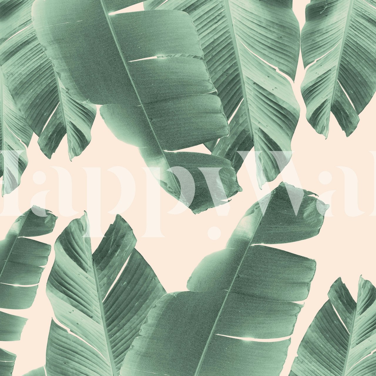 Banana Leaves Tropical 2 wallpaper in a room