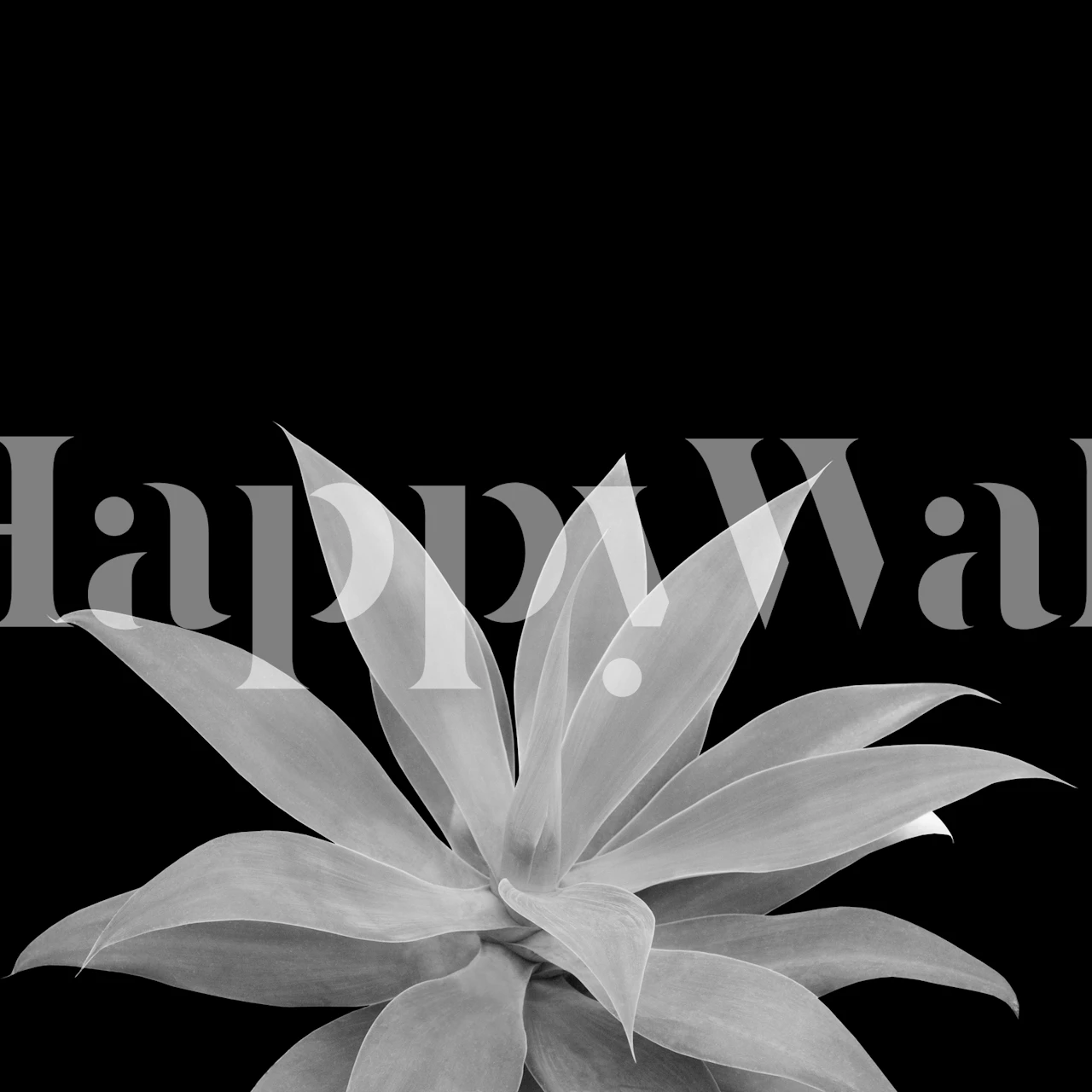 Gray Agave plant silhouette wall mural on a black background