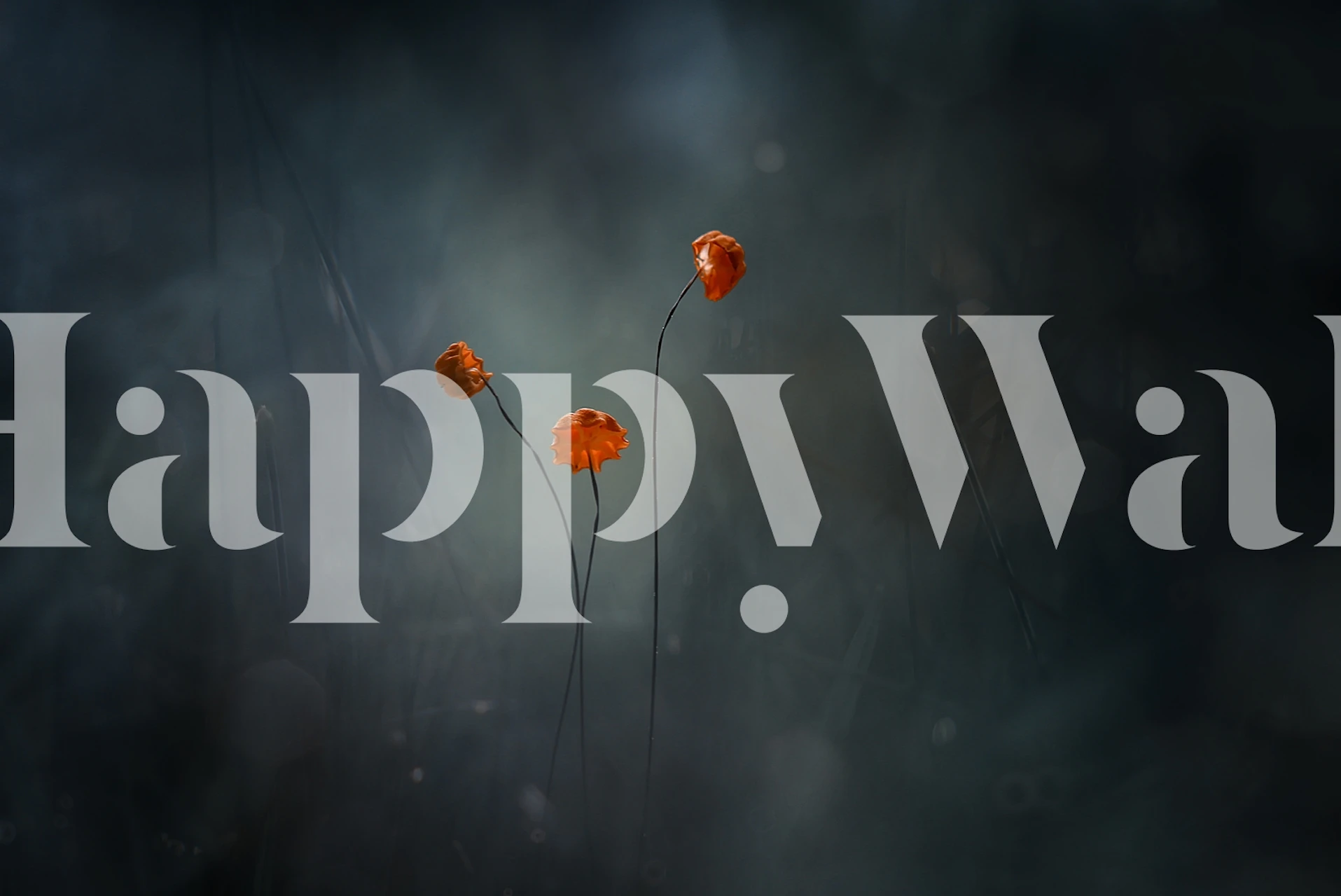 Little Mushrooms tapet i et rom