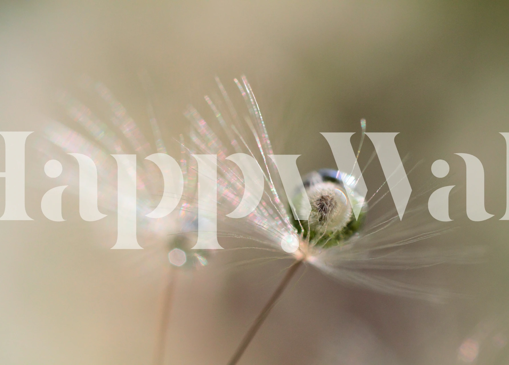 Dandelion fluff with soft colors and delicate details wallpaper