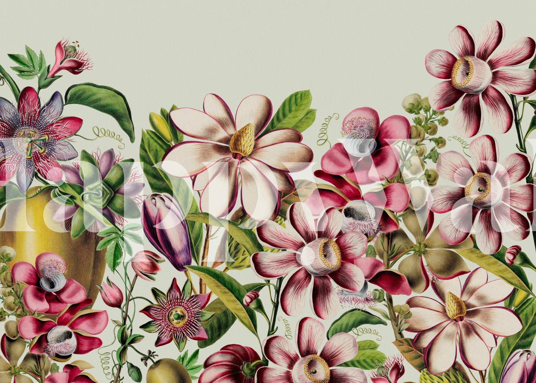 Tropical floral design with pink flowers and green leaves wallpaper