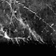 Black Gray Marble 1