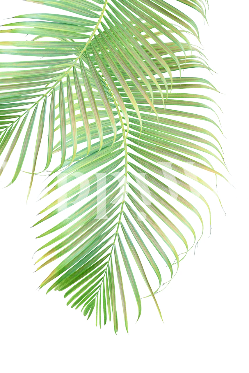 Tapeta Palm Leaf Delicado 1 v pokoji