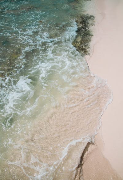 Τοιχογραφία