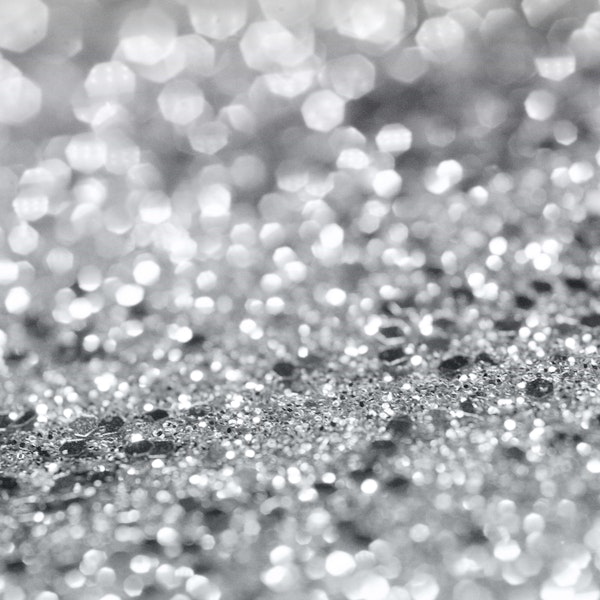 Silver Gray Lady Glitter 1a
