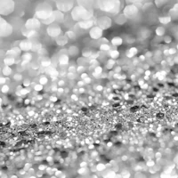Silver Gray Lady Glitter 1a papel pintado