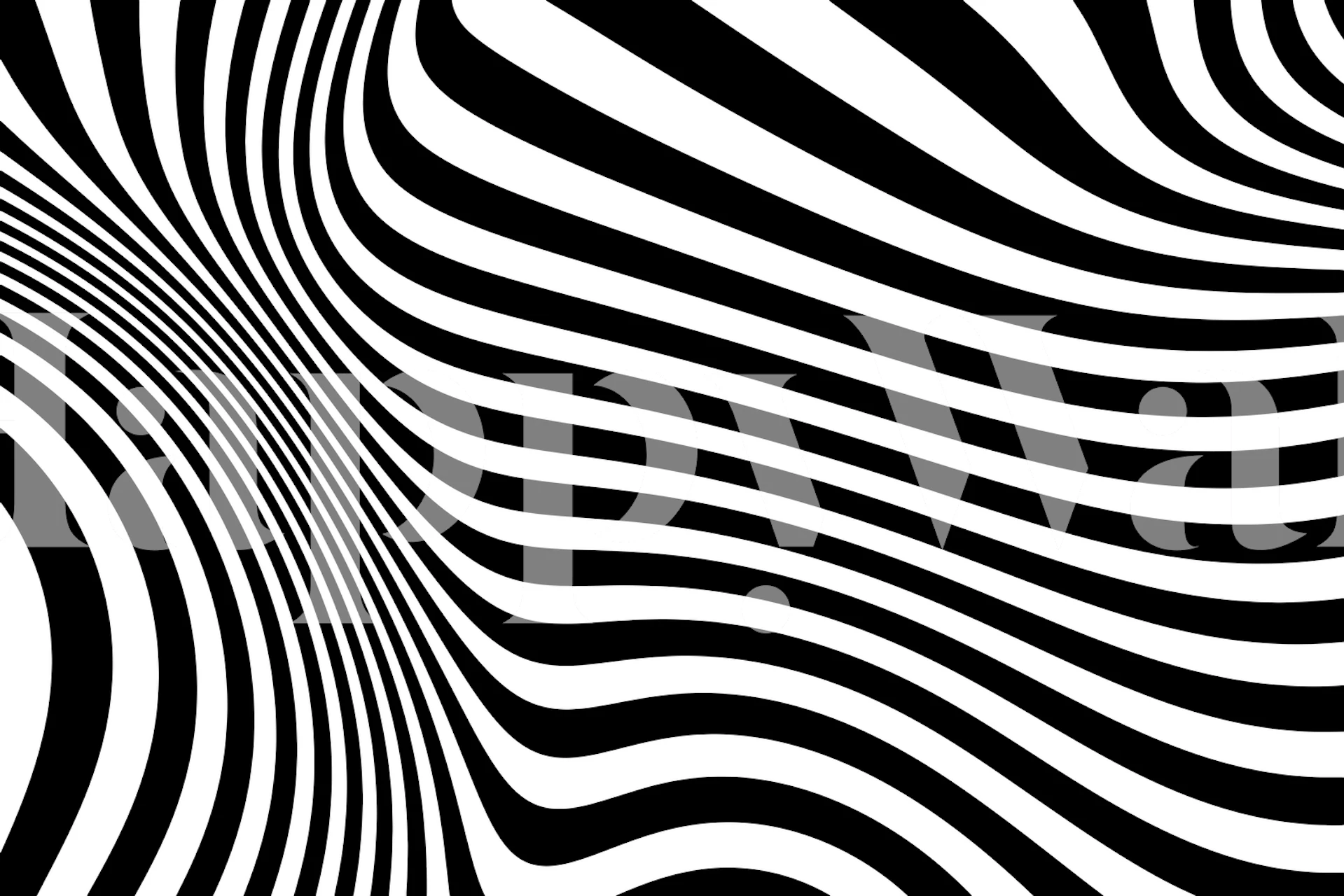 Op Art Retro Zwart-wit fotobehang met hypnotiserende wervelende lijnen