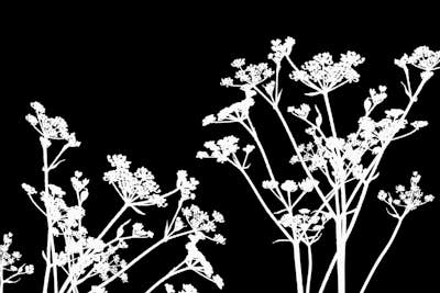 Τοιχογραφία