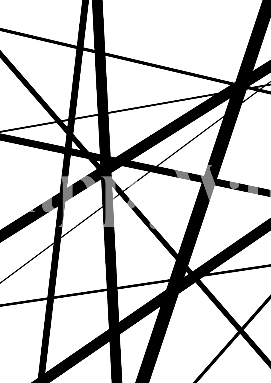 Geometric Lines Black White 1 tapet i et moderne rom