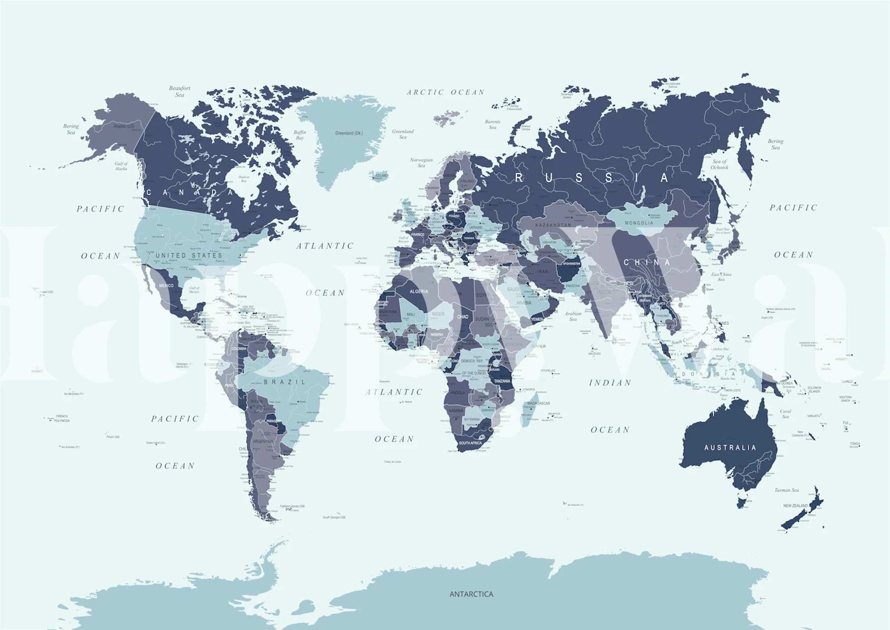 Navy blue world map wall mural