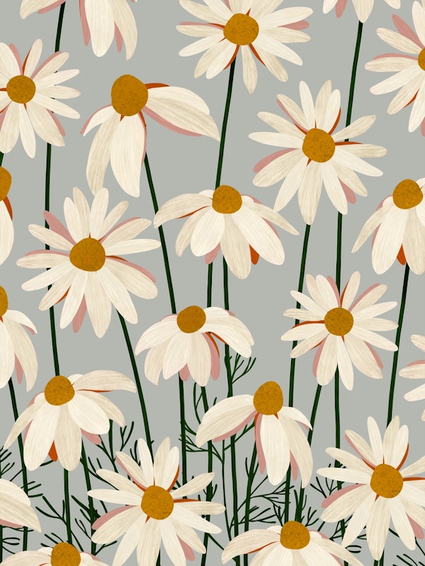 Daisies pattern I