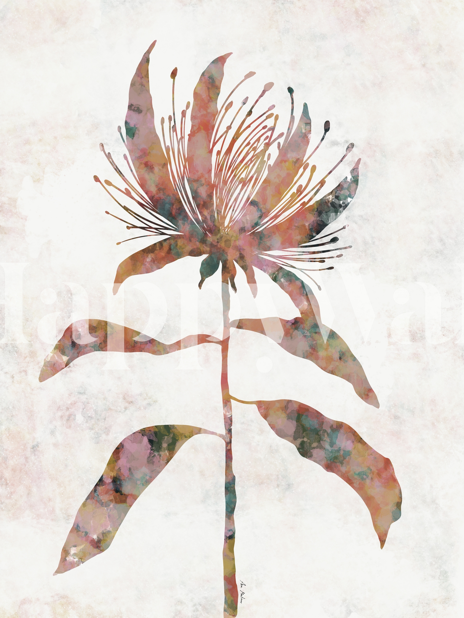 Flower Silhouette Wallpaper - Happywall