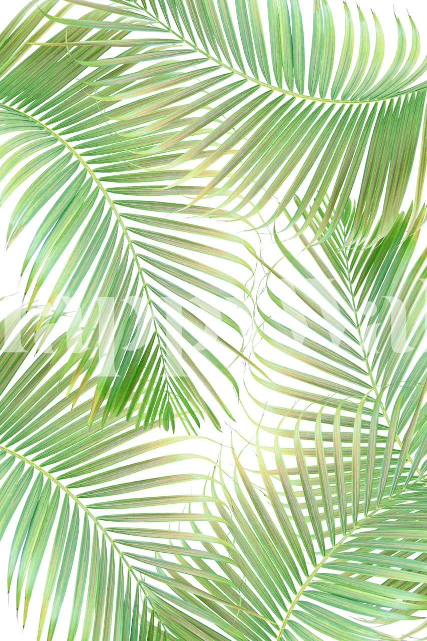 Palm leaf wallpaper pattern in a room