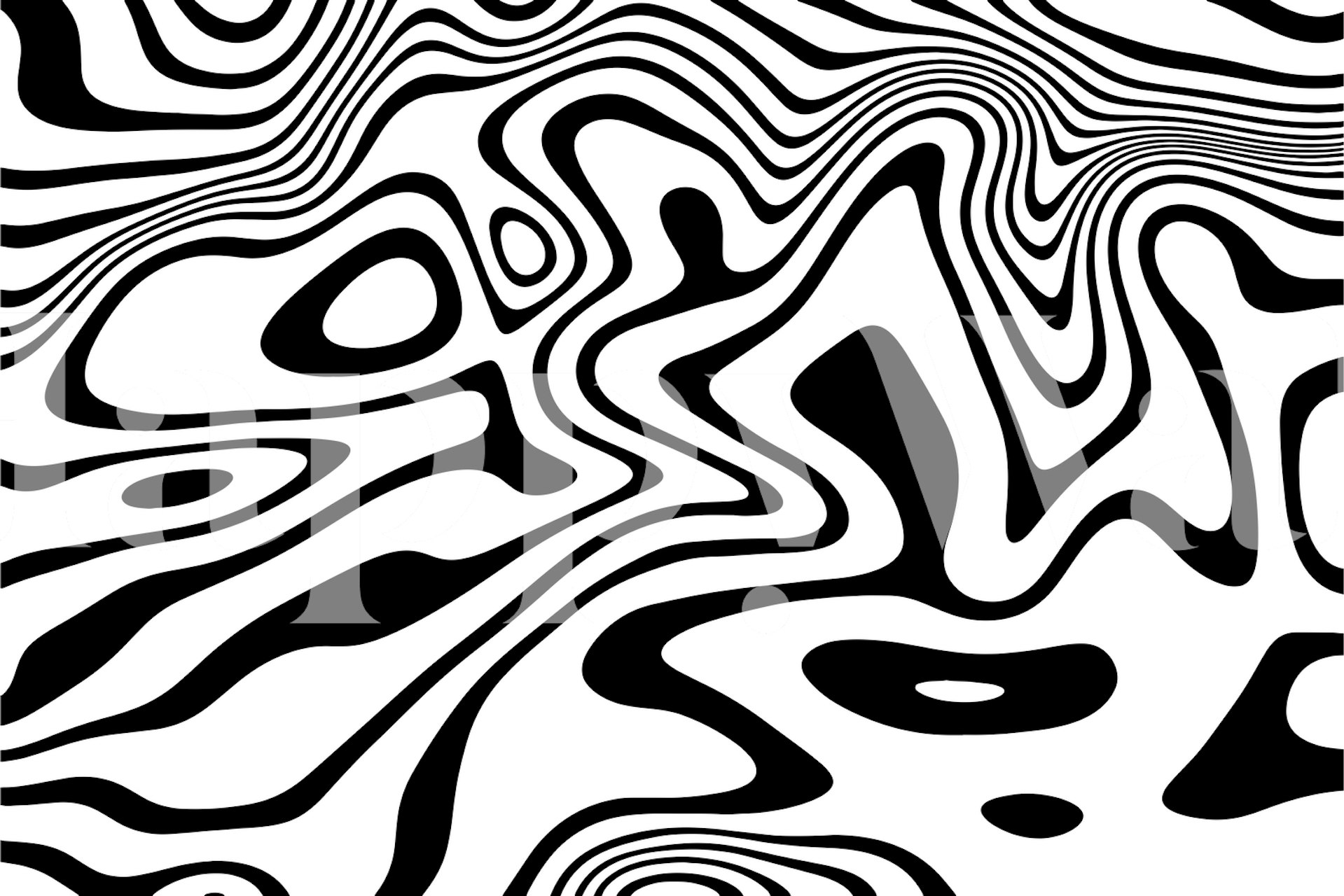 Abstrakt sort/hvid stregmaleri med flydende og organiske former