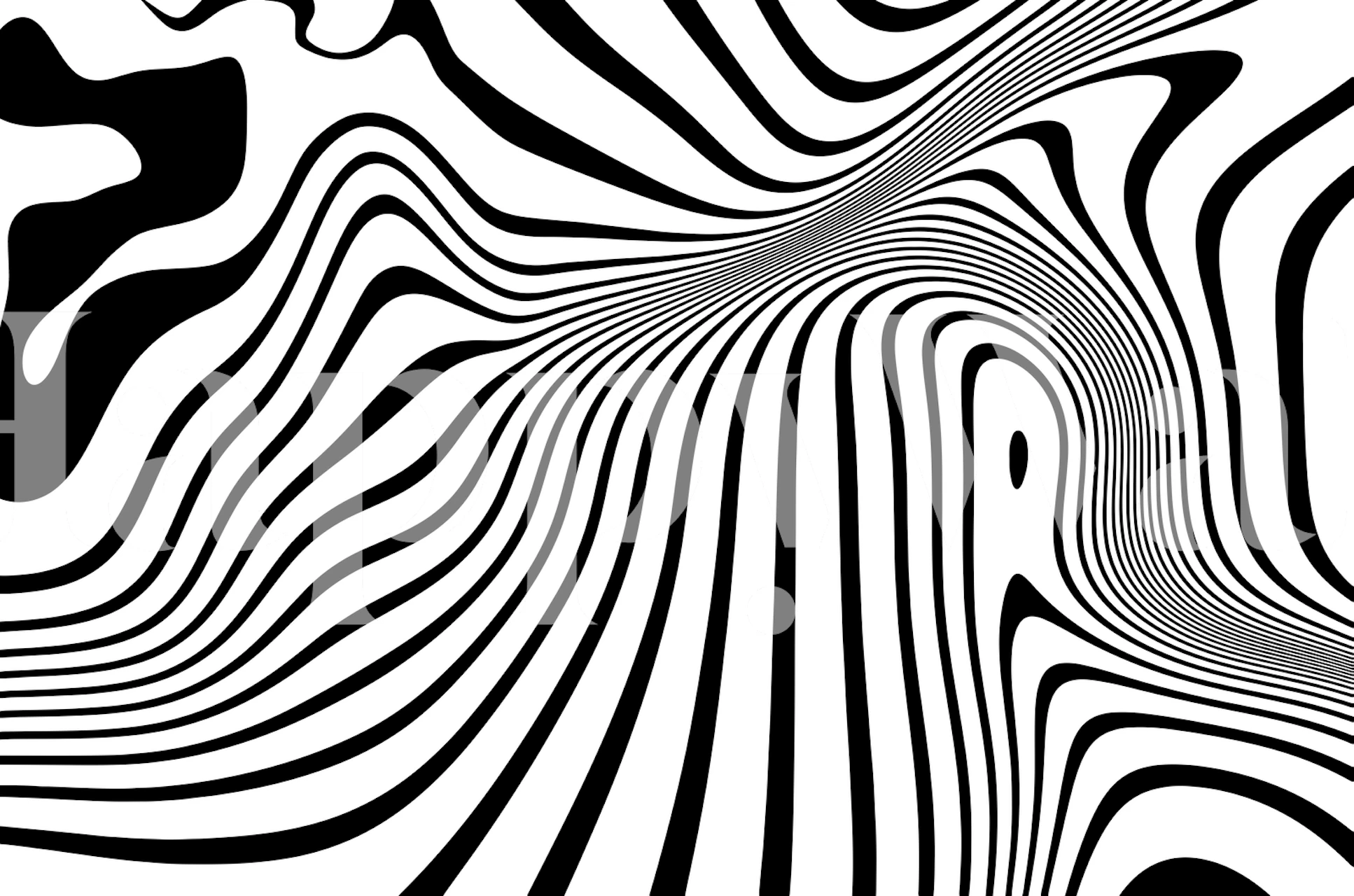 Abstract line art black and white wall mural with flowing, organic shapes creating a dynamic visual texture