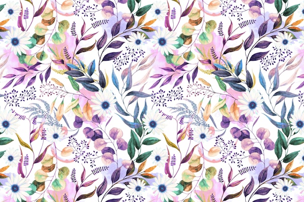 Colorful flowered meadow C