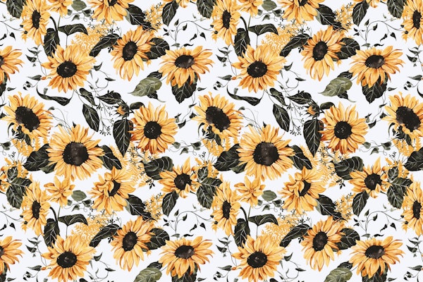 Wild meadow sunflowers S