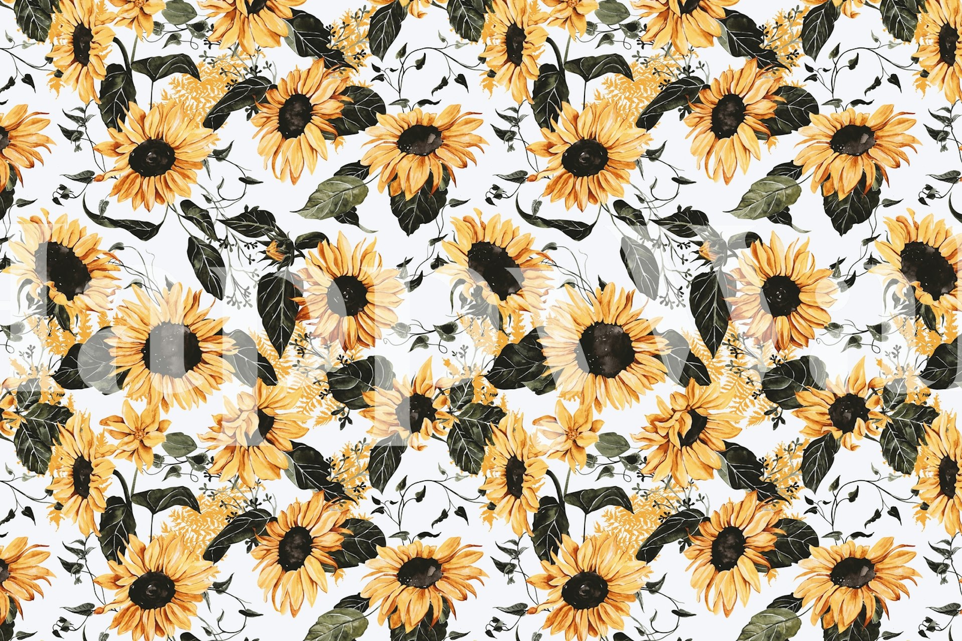 Yellow sunflowers with black centers and green leaves wallpaper