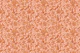 Monochrome Florals Orange