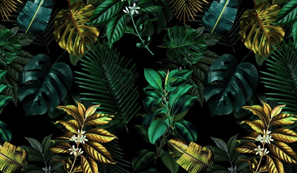 Tropical Garden VIII