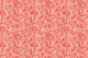 Monochrome Florals Red