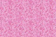 Monochrome Florals Pink