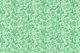 Monochrome Florals Green