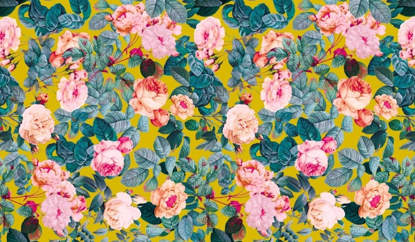 Summer is Coming VII