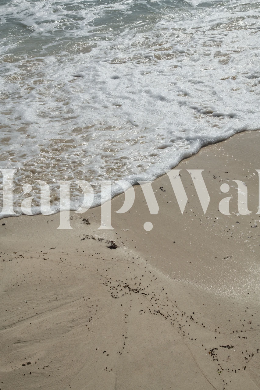 Mexican Ocean wallpaper in a room