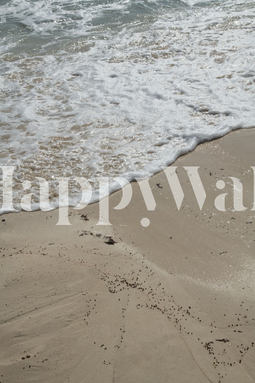 Mexican Ocean wallpaper σε ένα δωμάτιο