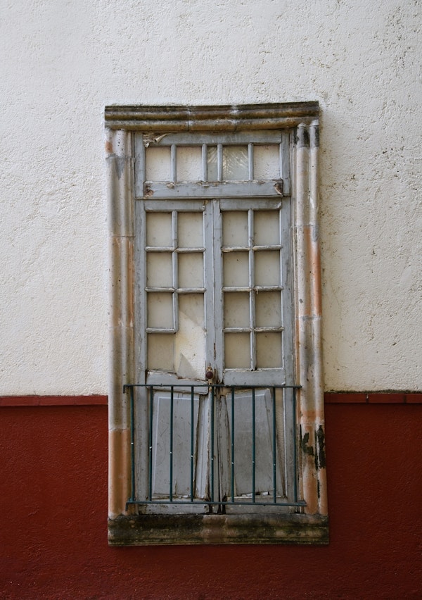 Rustic Mexican Door 1