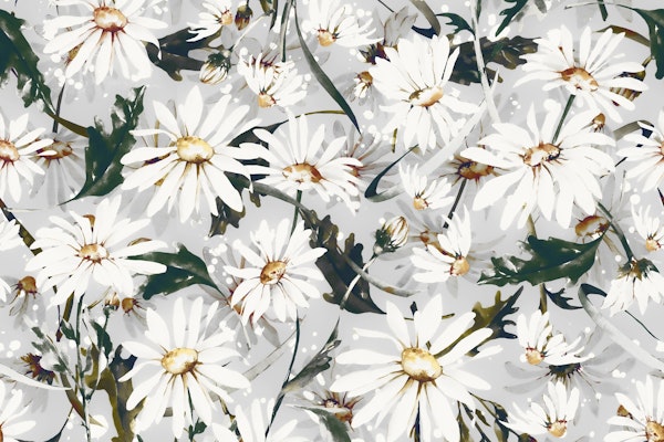 Meadow wild daisies I