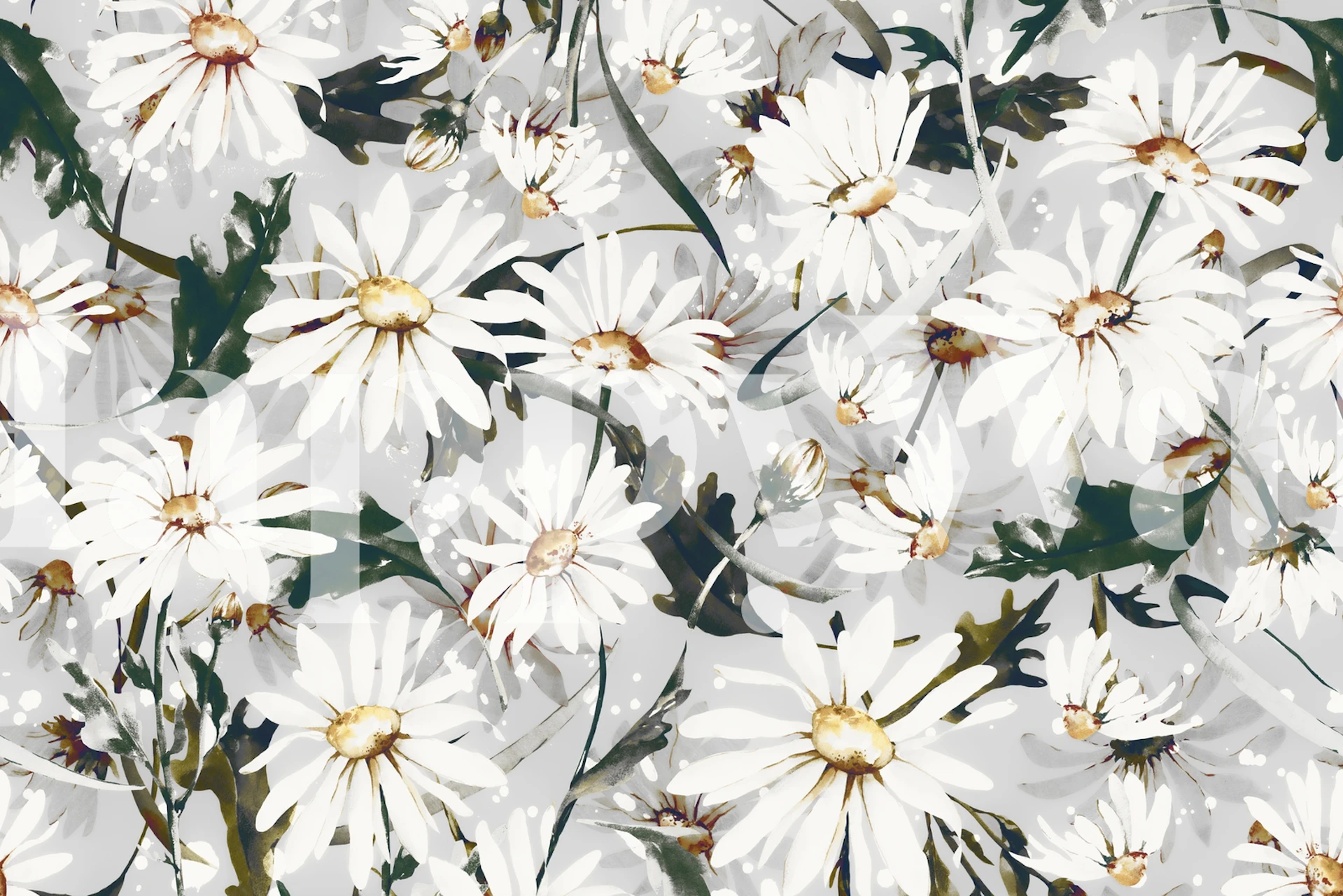 White daisies on a soft gray background floral wallpaper