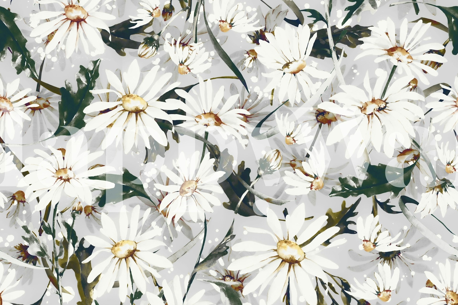 Meadow wild daisies behangontwerp