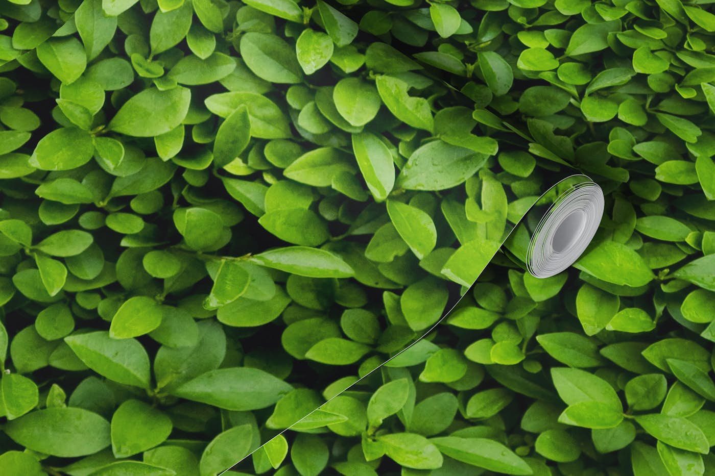 Green leaves wall wallpaper roll