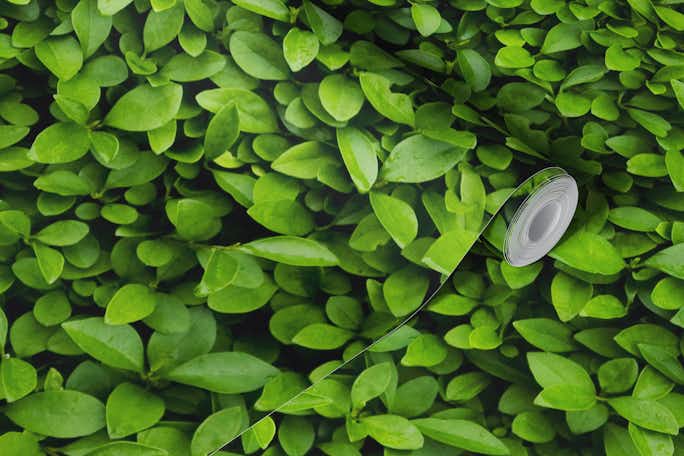 Green leaves wallwallpaper roll