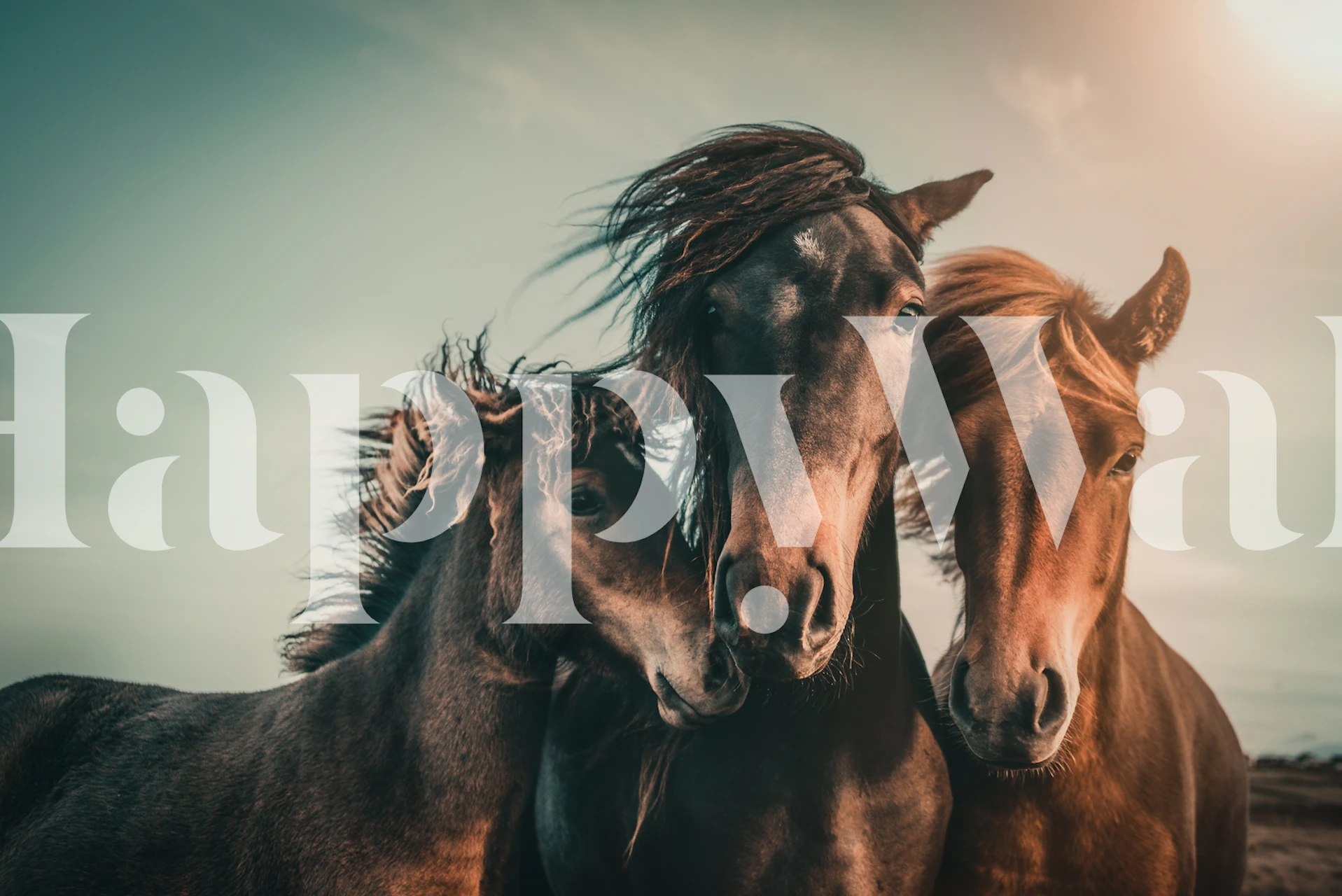 Three horses with flowing manes in earthy tones wallpaper