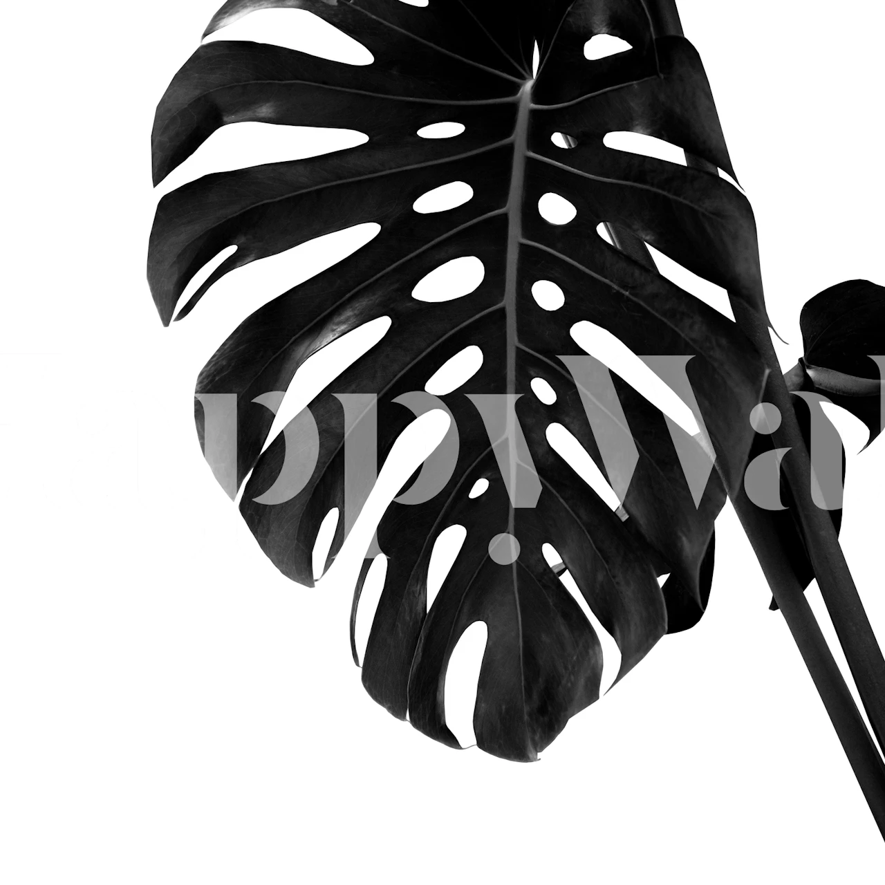 Papel tapiz Monstera Delight 2 en una habitación