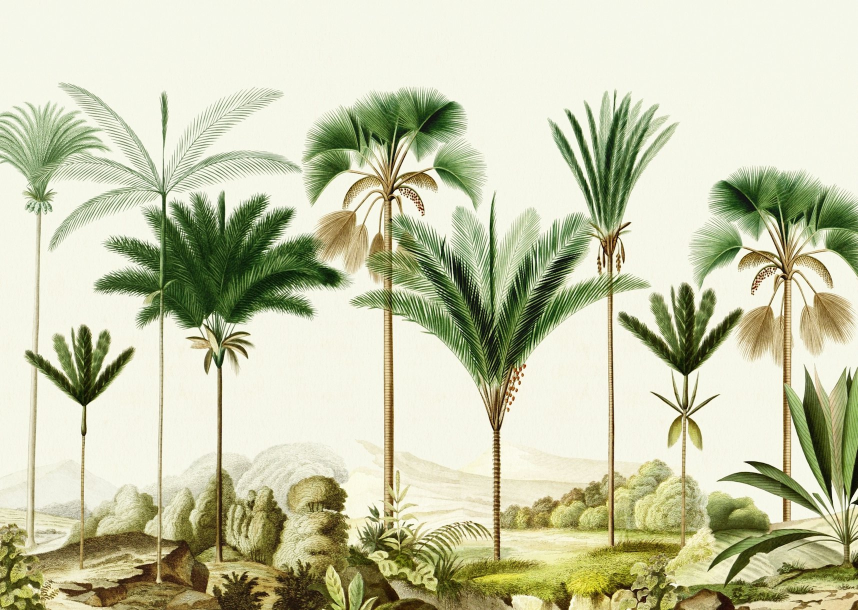Vintage Palm Trees Wallpaper - Tropical Wall Decor | Happywall