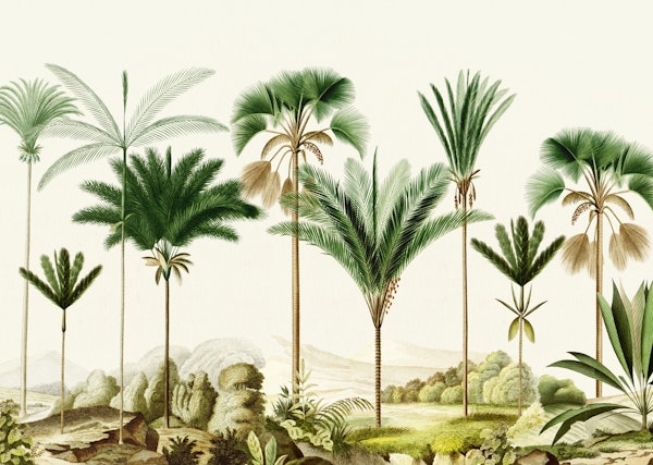 Vintage palm trees