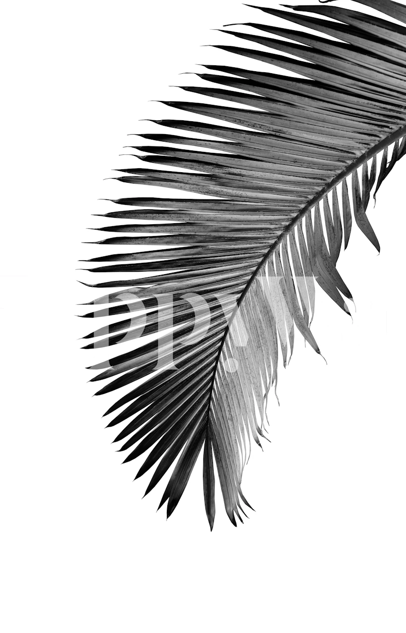 Jednobojni zidni tapet s palminim lišćem za uređenje u suvremenom stilu