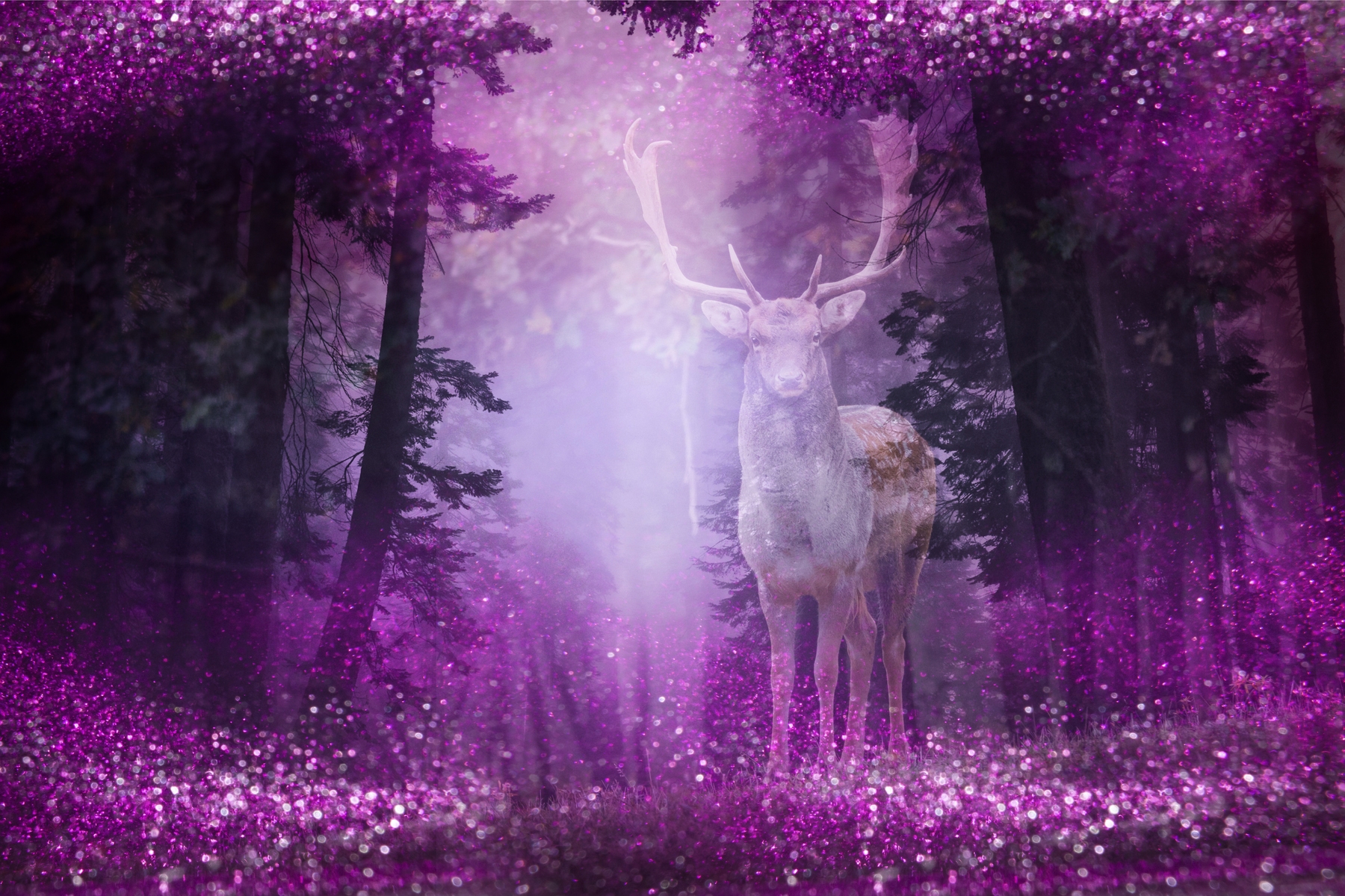 Wild Deer Surreal Pink Forest wallpaper - Wild Deer Surreal Pink Forest  wallpaper - Happywall