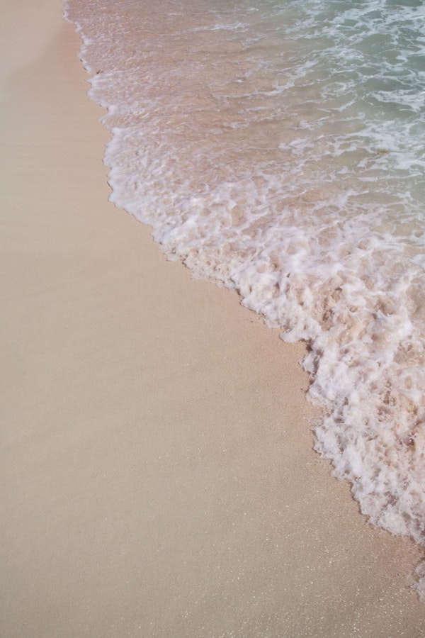 Mexican Ocean Beauty 2