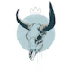 Bull skull