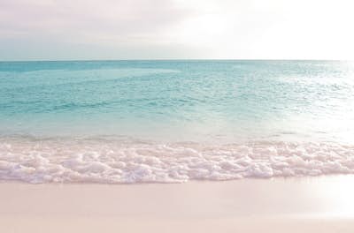 Τοιχογραφία