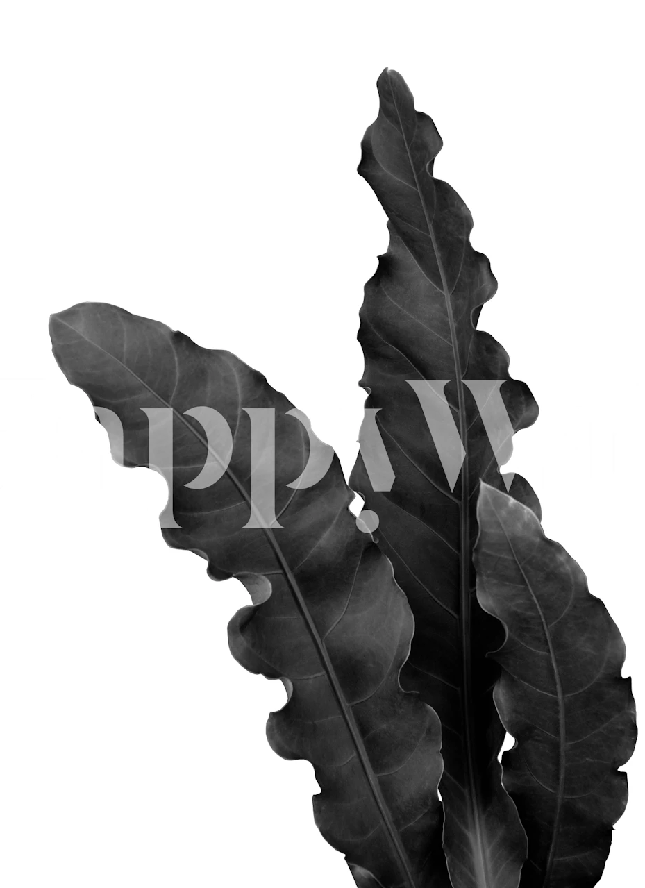 Tapeta Minimal Tropical Leaves v místnosti