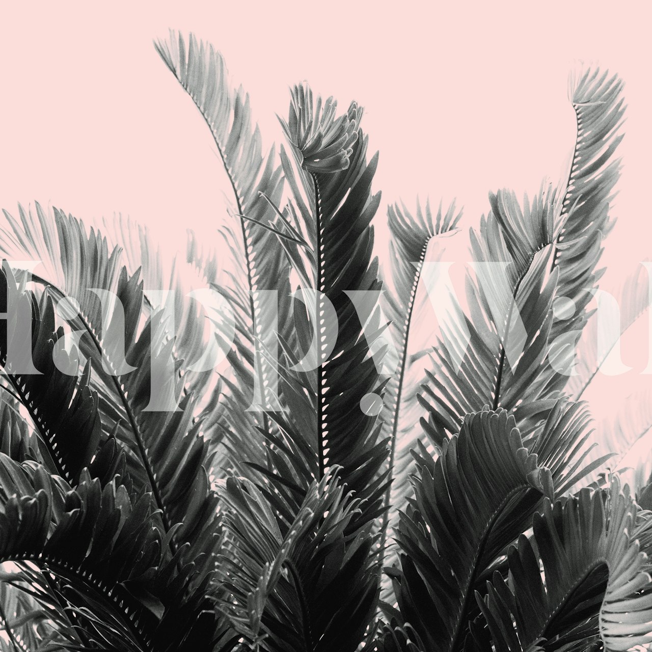 Tropical Leaves Dream 7 wallpaper in a room